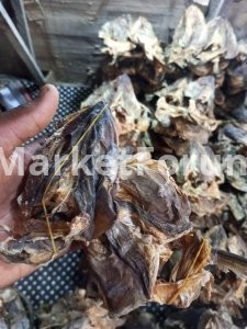Stock fish